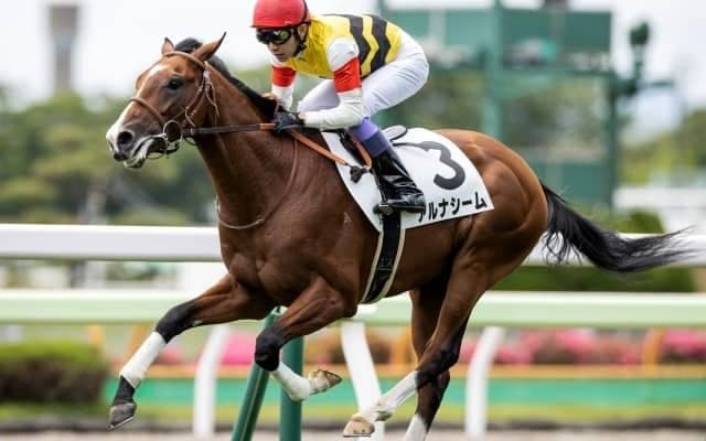 【函館5R新馬戦結果】アルナシームが突き抜け快勝