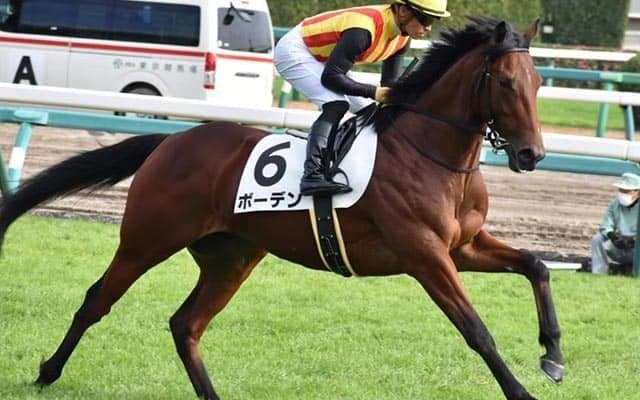 【ラジオNIKKEI賞・馬体重】ボーデンは486kg(+6)、リッケンバッカーは470kg(+4)