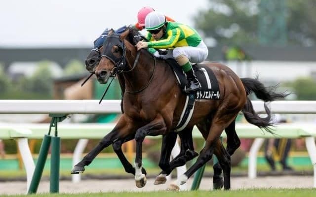 【巴賞結果】サトノエルドールが追い比べを制してV