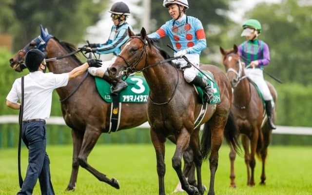 【勝負の分かれ目 ラジオNIKKEI賞】丸山騎手がソツなく乗り、ヴァイスメテオールが快勝