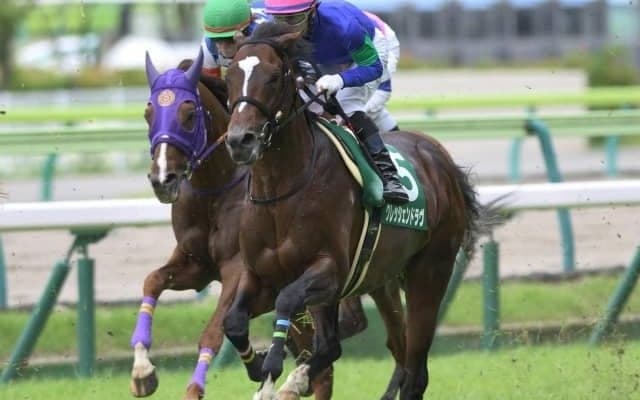 ハンデGIII七夕賞とダートGIIIプロキオンSに注目/今週の競馬界の見どころ