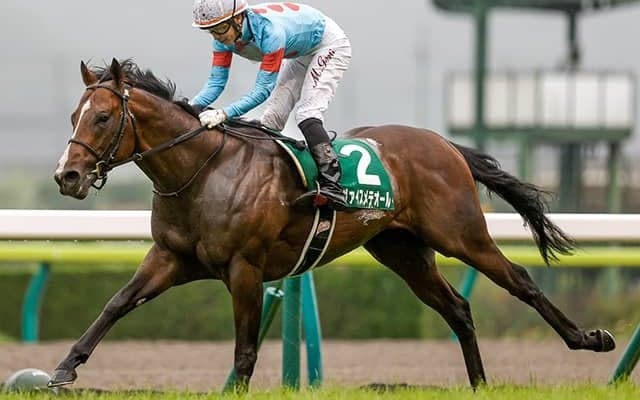 【ラジオNIKKEI賞】売上は59億6778万9000円で昨年からおよそ10億円の増加