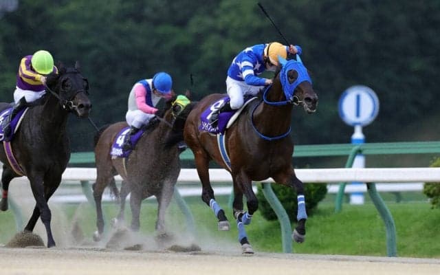 【盛岡・栗駒賞】タイセイブラストが快勝！