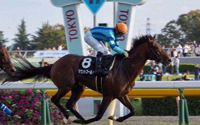 【七夕賞登録馬】マウントゴールドなど17頭