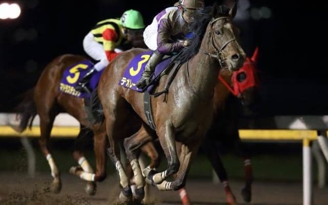 【川崎・スパーキングレディーC枠順確定】テオレーマは5枠5番、サルサディオーネは1枠1番