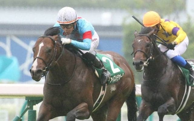 【ラジオNIKKEI賞】重巧者ヴァイスメテオールが圧勝！