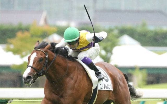 【新馬/福島6R】イスラボニータ産駒がJRA初勝利！ニシノレバンテが逃げ切る