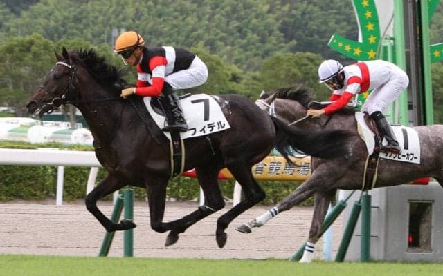 【新馬/小倉5R】2億円ホースが初陣を飾る！フィデルが初勝利