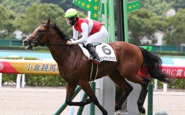 【新馬/小倉6R】断然人気のショウナンマッハがデビューV