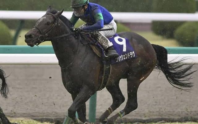 【七夕賞ハンデ確定】クレッシェンドラヴはトップハンデ58.0kg、ワーケアは55.0kg