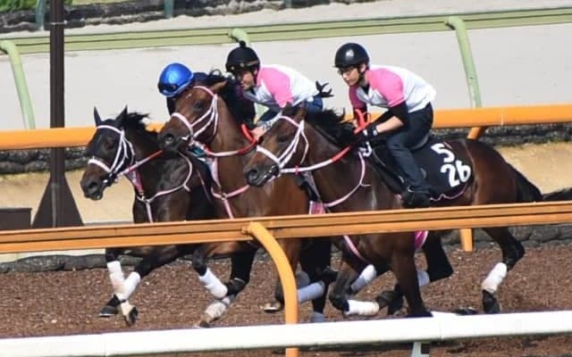 オウケンドーン半妹ビップシュプリームが鮫島克駿騎手でデビュー/関西馬メイクデビュー情報
