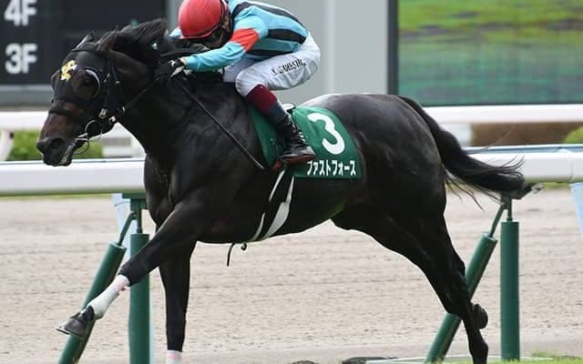 「ロードカナロア×サクラバクシンオー」のスプリント血統が桁外れの高速馬場で力を発揮