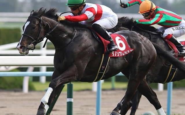 【先週のJRA抹消馬】17年朝日杯FS覇者ダノンプレミアム、前走宝塚記念6着のミスマンマミーアなど