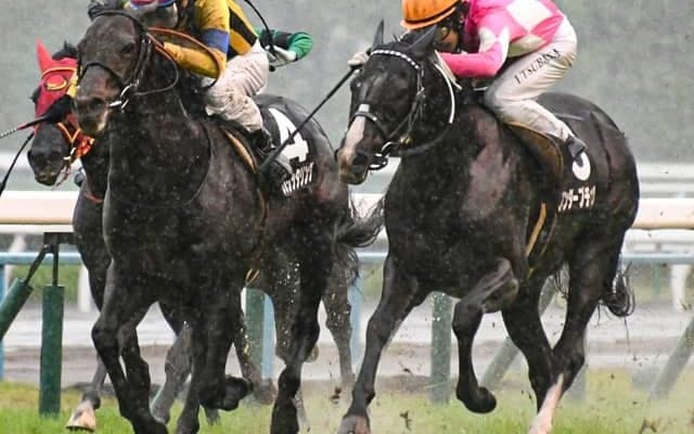 【七夕賞予想】大敗からの巻き返し続出のハンデ重賞をAI予想！ 本命候補は福島巧者の激穴/JRA重賞レース展望