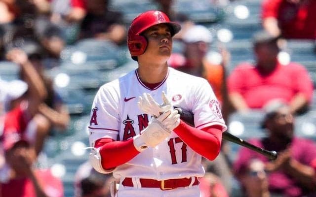 【MLB】「生まれてきてくれてありがとう」　大谷翔平の27歳祝うボード、本拠地に多数出現