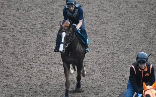 フラーテイシャスミスの2019など、先週の入厩情報/栗東トレセンニュース