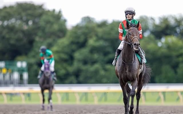 【大井・JDD】選定馬更新 JRA所属馬の騎乗予定騎手決定および南関東所属馬の回避、繰り上がり