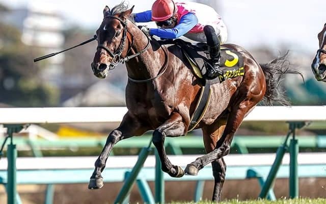 【七夕賞予想オッズ】クレッシェンドラヴが予想1番人気も上位人気は大混戦