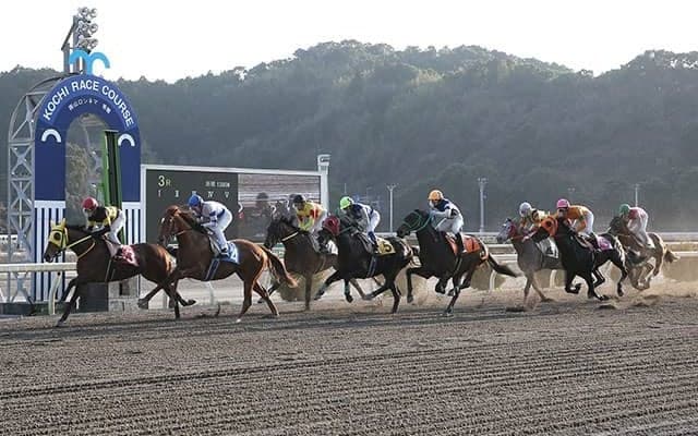 賞金リーディングに異変？ 高知競馬の売上回復の影響はこんなところにも