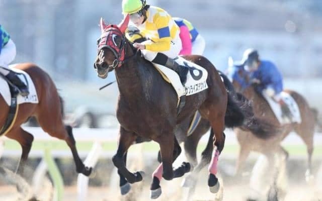 【門別競馬情報】今季グランシャリオナイターも今週から“第2期”スタート。日増しに盛り上がる夏＆秋シーズンも御注目お願いします！今夜メイン12Rは「アニマルキングダム賞」/地方競馬情報