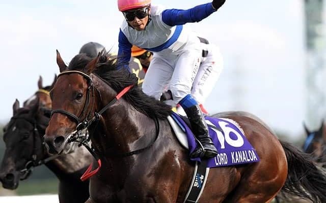 仏のセリに“異色のロードカナロア産駒”が上場！ 豪華面々揃う「ドーヴィル1歳セール」