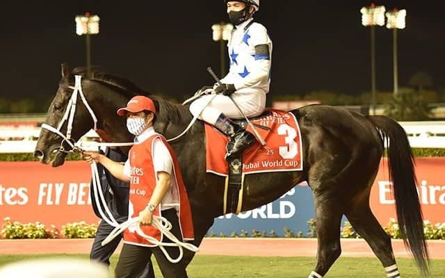 チュウワウィザードが全治3ヶ月以上の剥離骨折　昨年のJRA賞最優秀ダートホース