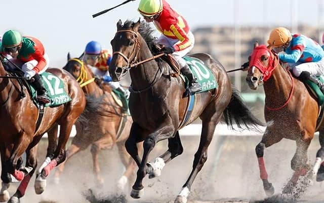 【JRA】サトノティターンが8日付で登録抹消、2019年マーチS覇者