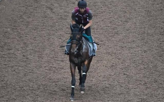 【JRA新馬戦】ドレッドノータスの全弟グランディアなどがデビュー