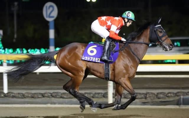 【JRA】昨年のクイーンSの覇者レッドアネモスが繁殖入りへ