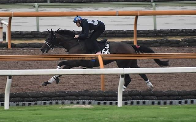 【大井・JDD】選定馬更新 JRA所属全出走馬の騎乗予定騎手決定