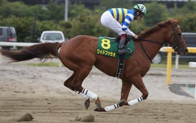 【プロキオンS枠順確定】ワイドファラオは4枠8番、ウェスタールンドは5枠9番