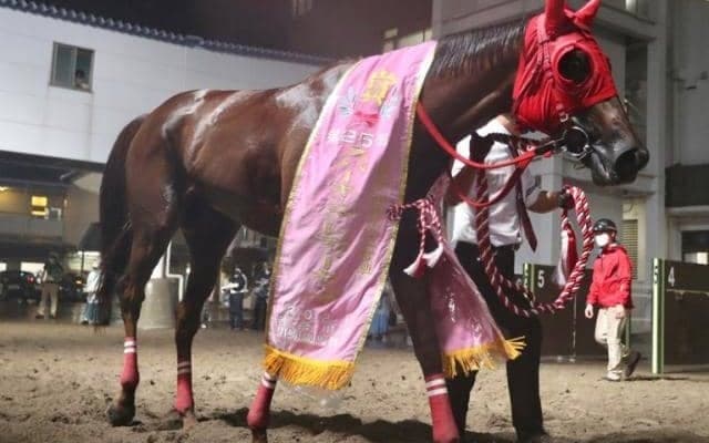 【スパーキングレディーC回顧】マイペースで逃げれば強いサルサディオーネ/斎藤修