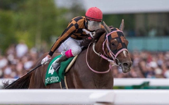 モズアトラクションが競走馬登録抹消