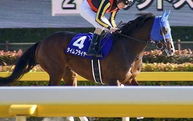 【本日の注目ポイント】函館でダートOP・マリーンS、小倉でベルカント半弟デビューなど