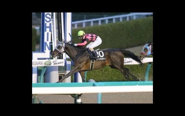 条件が一変したプロキオンＳは直感冴える穴党記者推奨の激アツ４頭におまかせ