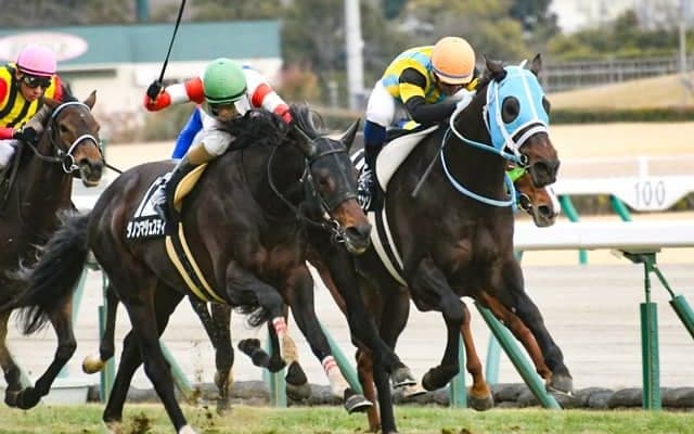 【七夕賞予想】14人気◎1着以降の4戦無印から一転、再び狙える激穴とは？ 逆に評価を下げたい人気馬も/JRA重賞レース展望