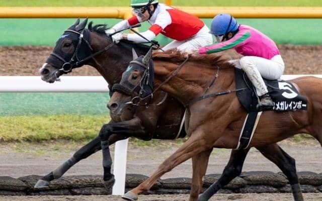 【マリーンS結果】スワーヴアラミスが競り合いを制してV