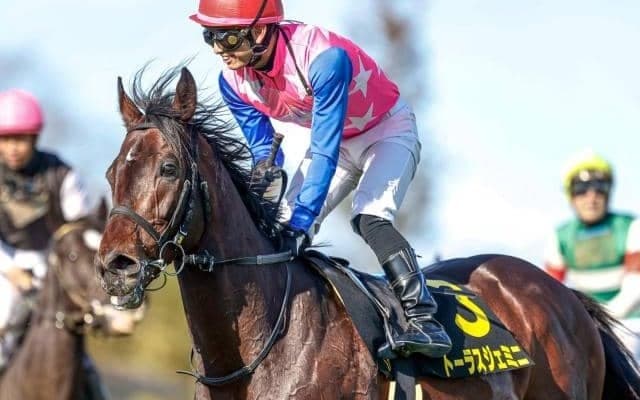 【七夕賞前日オッズ】トーラスジェミニが5.8倍で1番人気