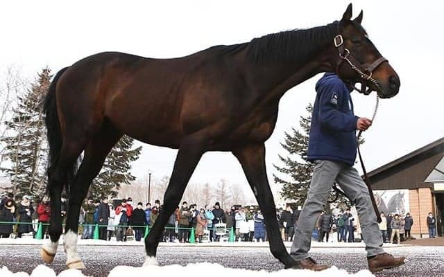 【セレクトセール2021注目馬】近年のトレンド配合から誕生したディープインパクト牝駒