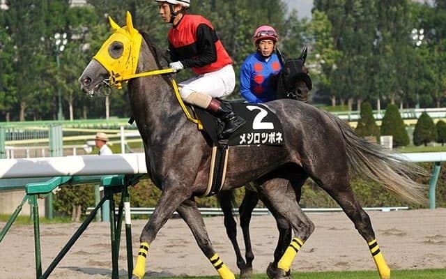 【セレクトセール2021注目馬】“メジロ黄金時代”の名馬が血統表に残るハーツクライの牡馬