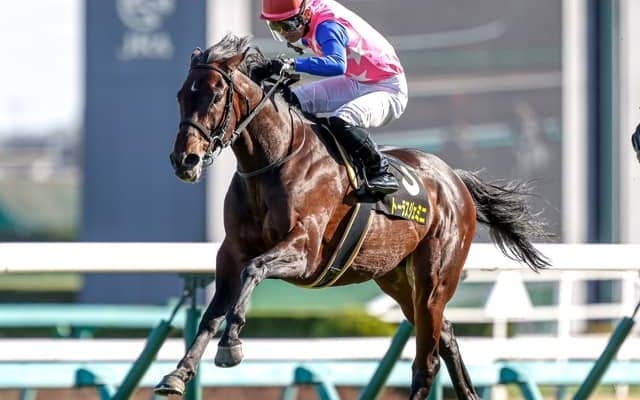 【七夕賞AI予想】混戦を抜け出すのは、着以上に充実期を迎えているこの馬/JRAレース展望