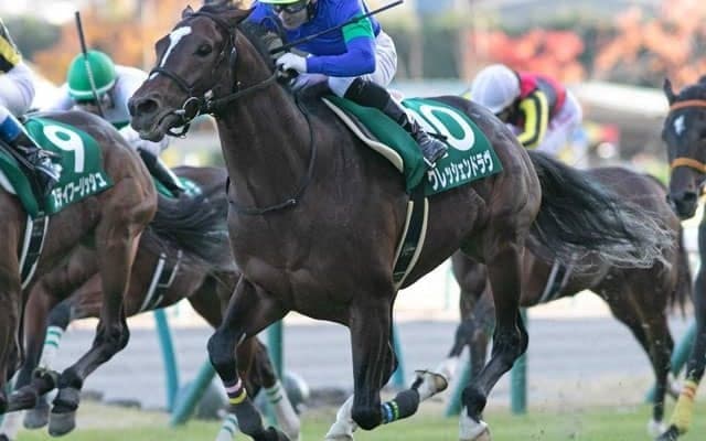 【本日の注目ポイント】福島で七夕賞、小倉でプロキオンS