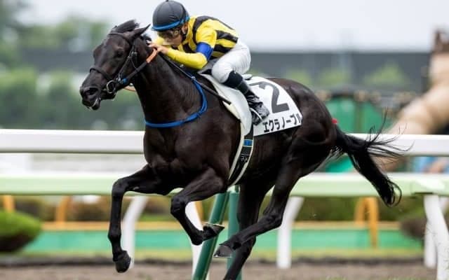 【函館5R新馬戦結果】7番人気エクラノーブルが5馬身差圧勝