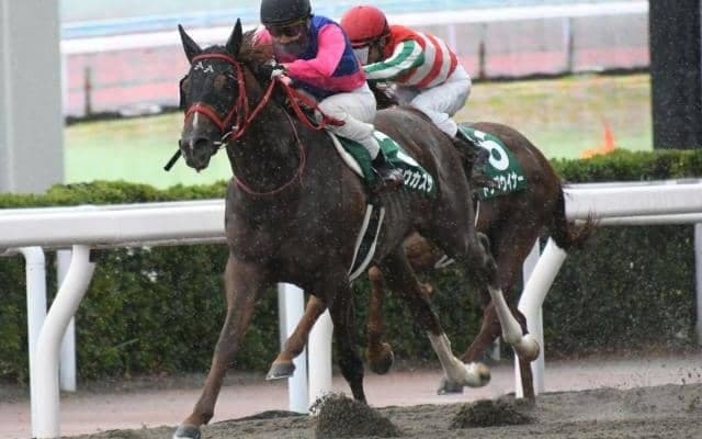 【プロキオンS結果】9番人気メイショウカズサが快勝　2着3着も人気薄の大波乱