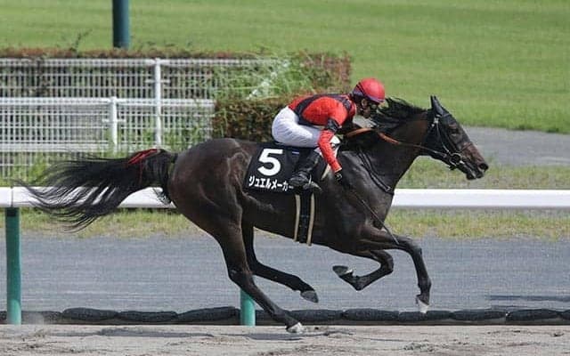 【セレクトセール2021注目馬】初の大台超えなるか？ 新ひだか町産ディープインパクトの牝馬