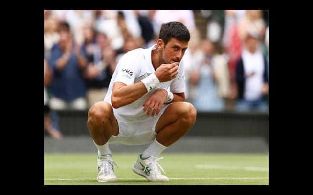  ジョコV 今年も芝を食べる 