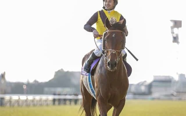 JRAはGIII函館2歳S・函館記念・中京記念、地方ではJpnIジャパンダートダービーに注目/今週の競馬界の見どころ