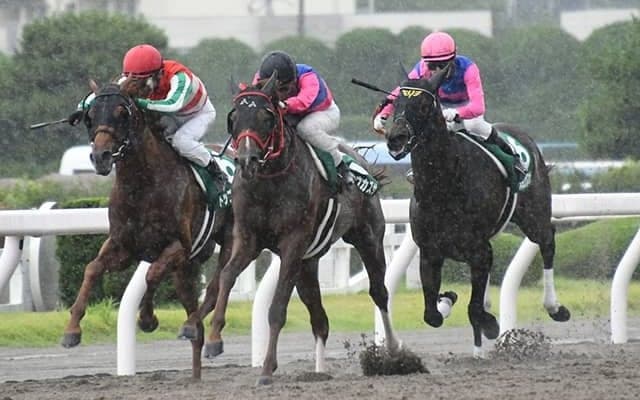 【プロキオンS】売上は40億5018万9500円で昨年からおよそ7千万円の減少