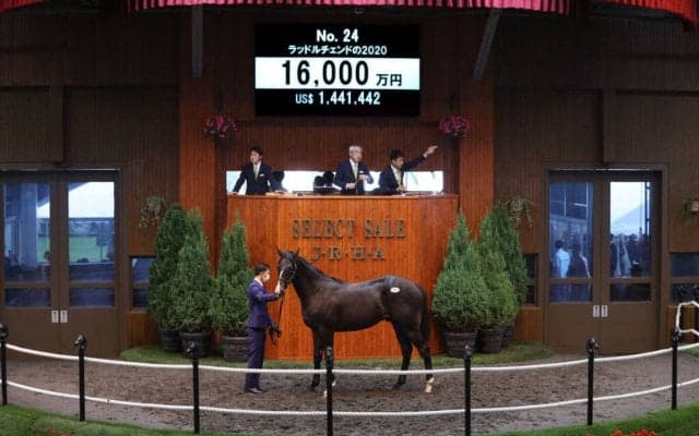 【セレクトセール2021】テルツェット半弟が1億6000万円