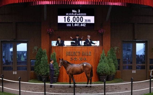 【セレクトセール2021】エタリオウ半妹が1億6000万円